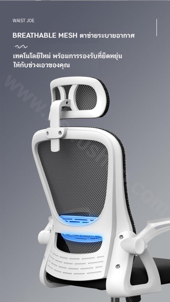 เก้าอี้เพื่อสุขภาพ ergonomic